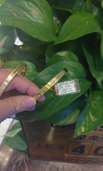 新世纪花园车库简装好房1房/1卫朝南20平米500元/月